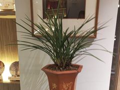 -翁暖茶馆(滨江东总店)