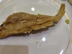 -东盛丽都(花园路店)