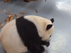 -无锡动物园·太湖欢乐园