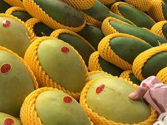 -三亚新鸿港水果一级批发市场