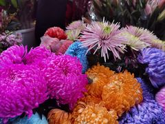 -越秀西湖花市(广州城市广场花卉店)