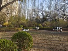 -迎泽公园