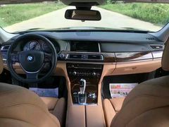 -天猫养车贴膜轻改·蓝电(优匹康桥东路店)