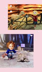 -酷嗒动物文化乐园(cutezoo西溪乐天城店)