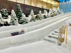 -世界之窗阿尔卑斯冰雪世界