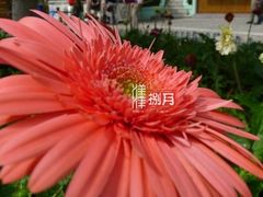 -龙环葡韵住宅式博物馆