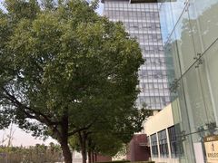 -上海市第一人民医院(松江南部)