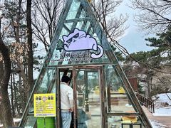 -沂蒙山旅游区云蒙景区(蒙山国家森林公园)
