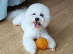 -艾贝尔宠物医院·24H转诊中心·肿瘤猫专科(江宁双龙店)
