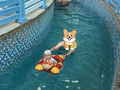 -南宫温泉水世界