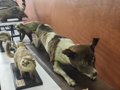 -上海市宝山区青少年活动中心