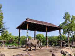 -上海野生动物园