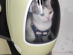 -美联众合动物医院·24h转诊中心