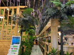 -四季合味椰子鸡(南山大冲店)