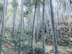 -梅岭月亮湾山体公园