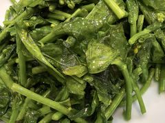 清炒板蓝根苗-玉华台饭庄·淮扬菜·烤鸭(望京店)