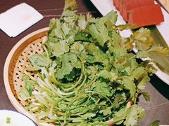 香菜-淼福猪肚鸡·椰子鸡火锅(大沙地店)