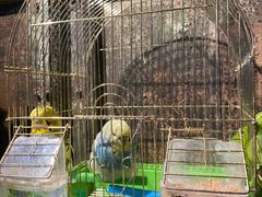 -俏湘私房菜(国贸店)