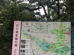 -井之头恩赐公园