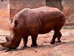 -昆明动物园
