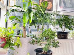 -炼呗运动康复·健身工作室(紫竹桥店)