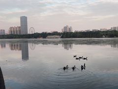 -南宁南湖公园
