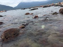 西冲沙滩-西涌国际滨海旅游区