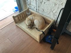 -元氏钵仔糕(北京路店)