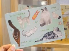 -猫的天空之城概念书店(苏州平江店)