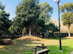 -艾溪湖湿地公园