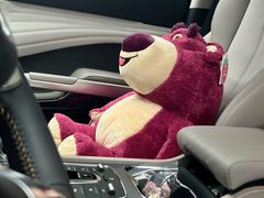 -天猫养车贴膜轻改·蓝电(优匹康桥东路店)