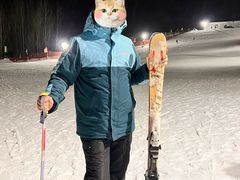 -蓟县盘山滑雪场