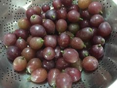 -马陆小张葡萄园农家乐