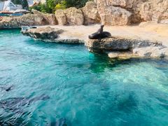 -珠海长隆海洋王国