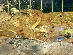 -三品香·江浙菜(松江九谊店)