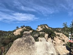 -大岭沟猕猴桃谷风景区