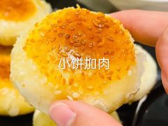 -大鸭梨烤鸭(左家庄店)