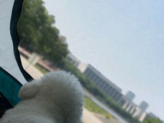-尚贤河湿地
