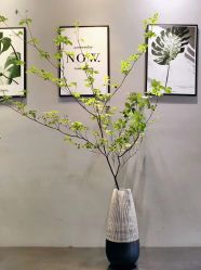 -花落谁家婚礼策划(永安街店)