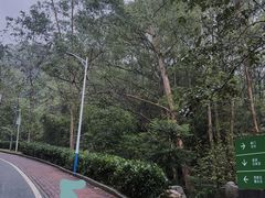 -火炉山森林公园