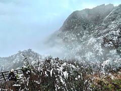 -金子山原生态旅游风景区