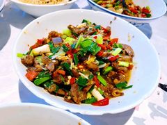 -壹盏灯(惠农店)