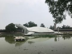 -东方巨龟苑景区