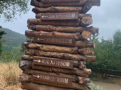 -北京西山国家森林公园