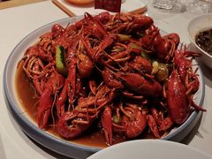 -杨氏青龙虾·羊蝎子(托乐嘉店)