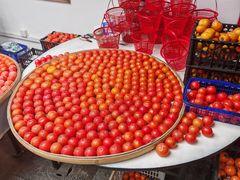 -蒋村酒楼(河渚街店)