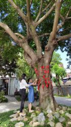 -莲生母婴月子中心(清水河公园店)