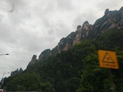 -印象鲵宴·张家界地标美食名片(溪布街店)