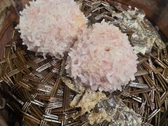 -风波庄(罍街分舵)