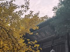 -大觉寺-停车场